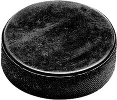 hockey puck